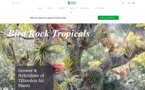 www.birdrocktropicals.com