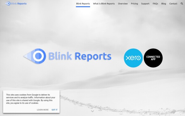 www.blinkreports.com