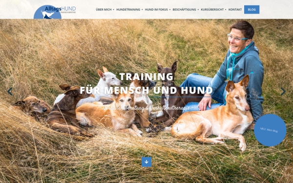 hundetraining-alltagshund.de