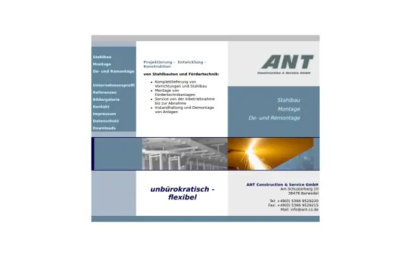 ant-cs.de