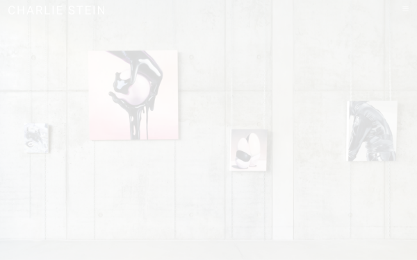 charliestein.com
