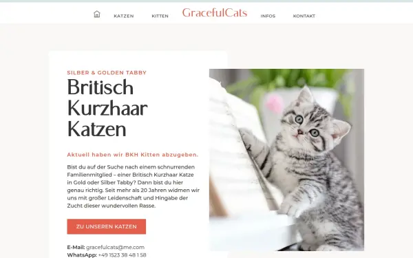 britisch-kurzhaar-katze.de