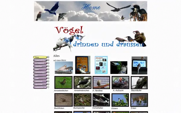 www.fritzi-sittich.info