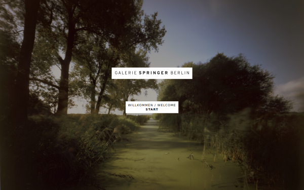 www.galeriespringer.de