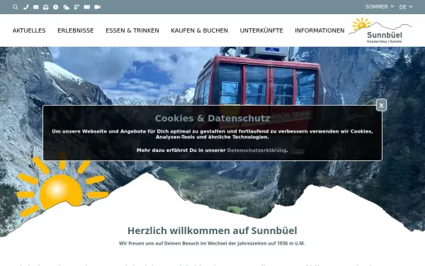 sunnbuel.ch