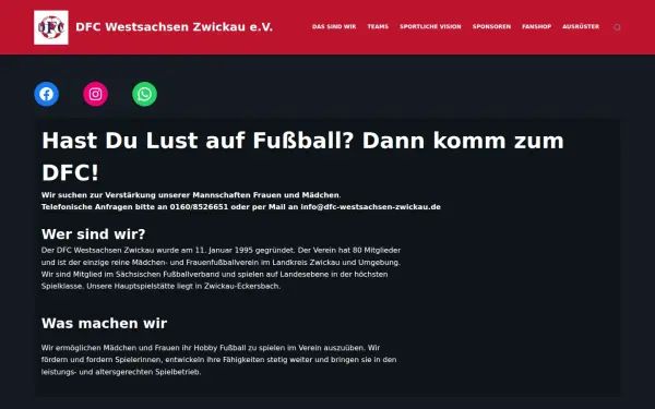 dfc-westsachsen.de
