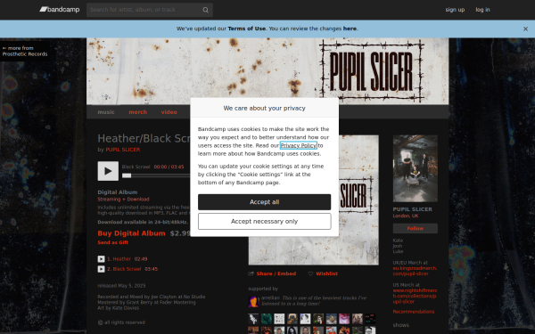 pupilslicer.bandcamp.com
