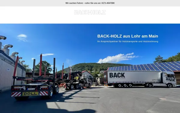 back-holz.de