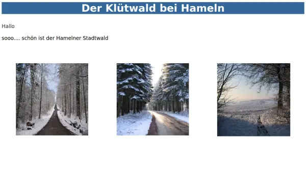 die-hamelner.de