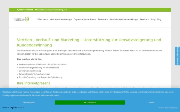 nabenhauer-consulting.com