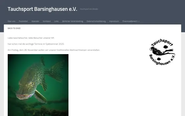baschetaucher.de