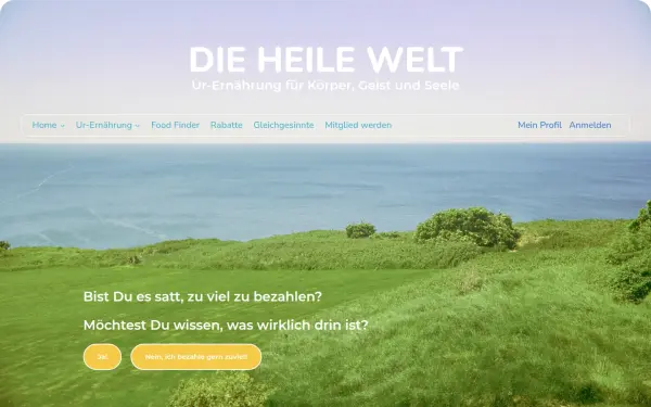 dieheilewelt.com