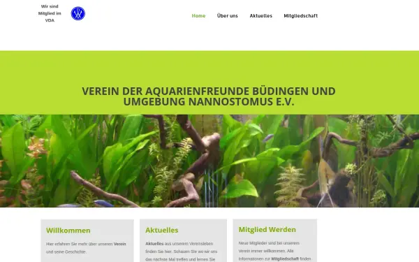 aquarienfreunde-buedingen.de