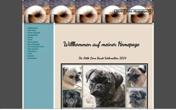 www.little-lions.de