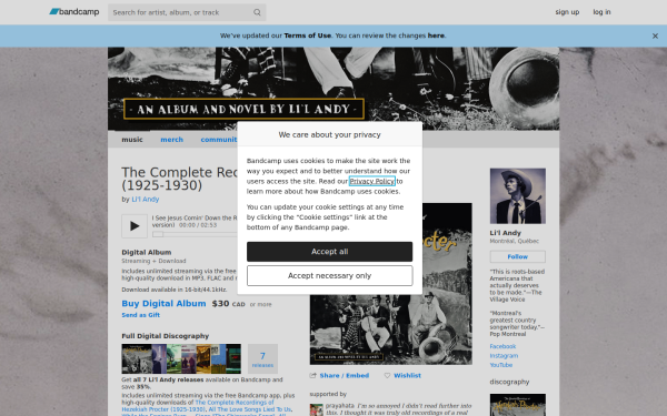 lilandy.bandcamp.com