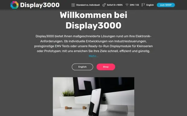 display3000.de