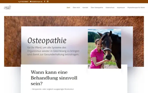 www.dirmeyer.de