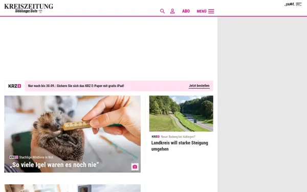 www.krzbb.de