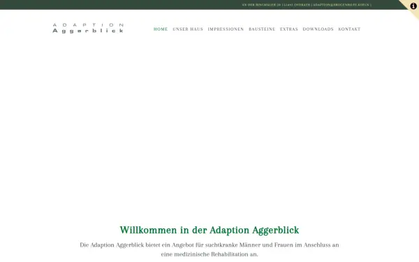 adaption-aggerblick.de