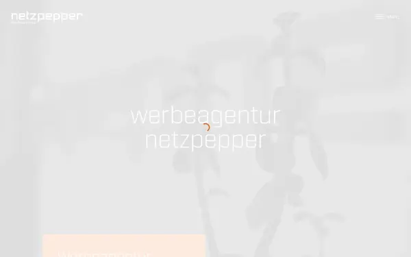 www.werbeagentur-netzpepper.de