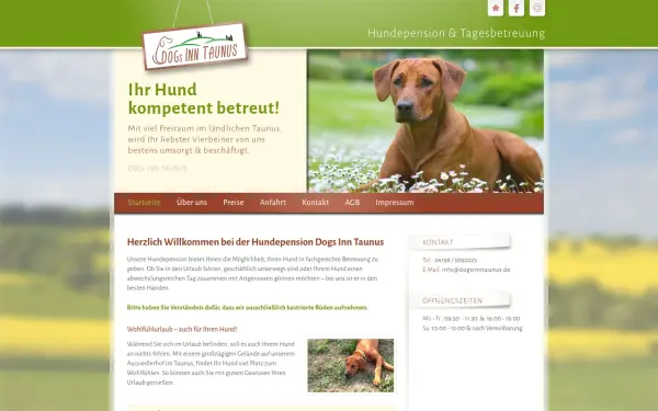 dogsinntaunus.de
