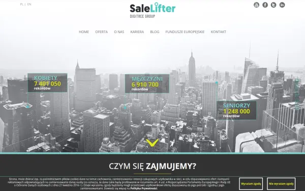 salelifter.com