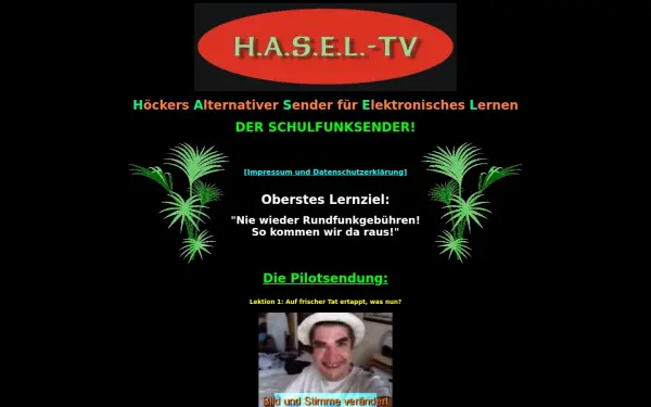 hasel-tv.de