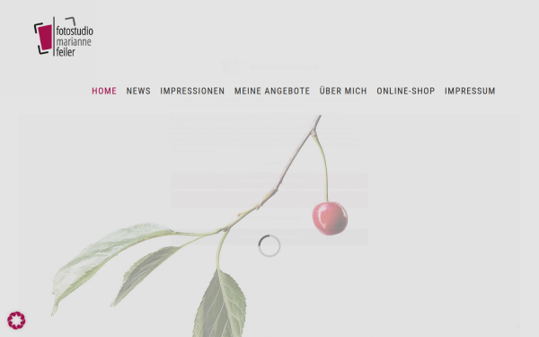 marianne-feiler.at
