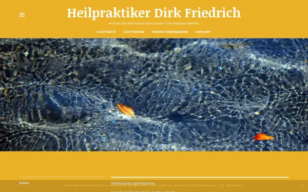 www.die-alternativmedizin.de