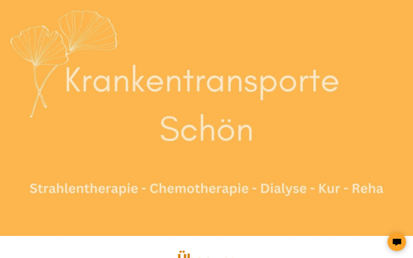 krankentransporte-schoen.at