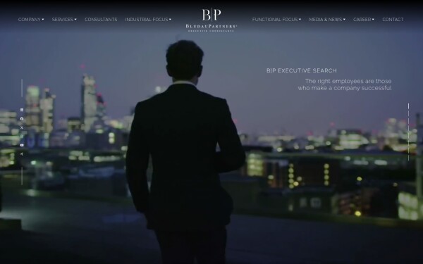 bludaupartners.com