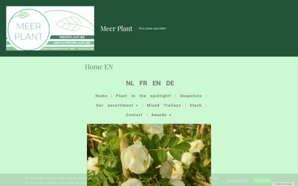 meerplant.be
