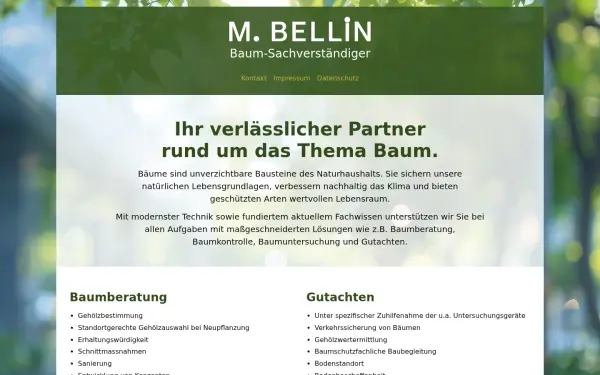 www.manfred-bellin.de