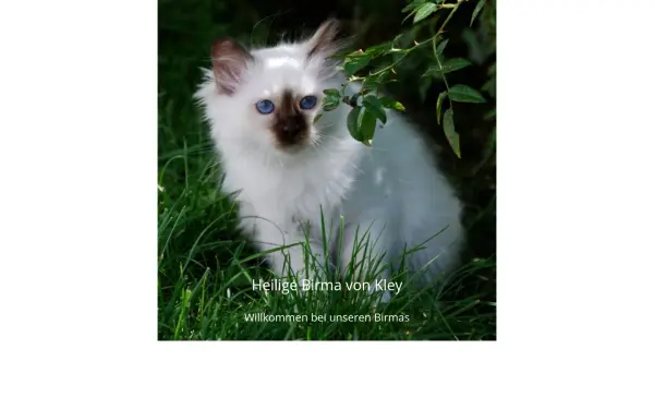 heiligebirma-von-kley.de