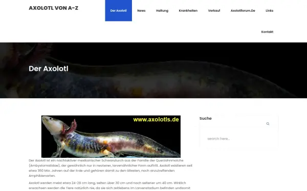 www.axolotls.de