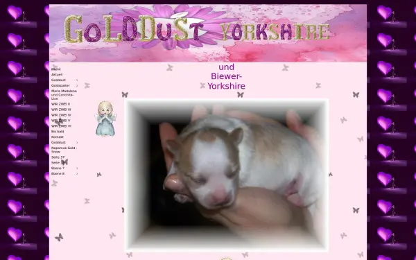 golddust-biewer.de