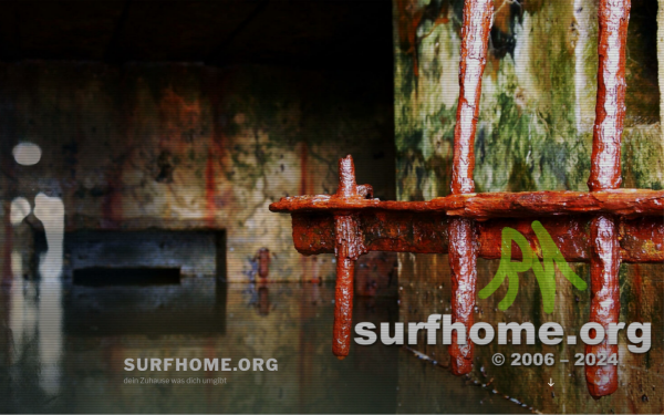 surfhome.org