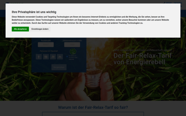 www.energierebell.de
