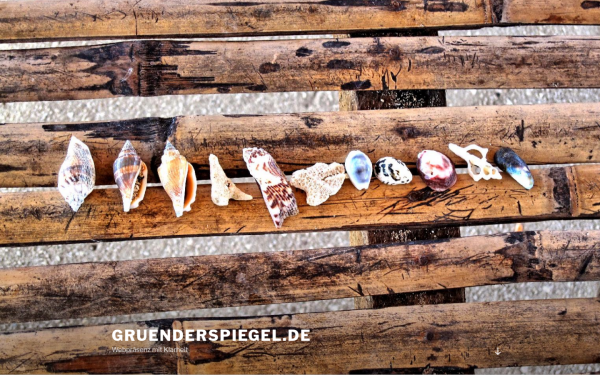 gruenderspiegel.de