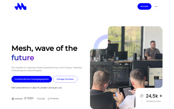 mesh-web.com