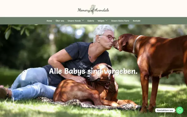 memory-of-avondale.de