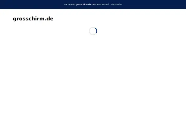 grosschirm.de