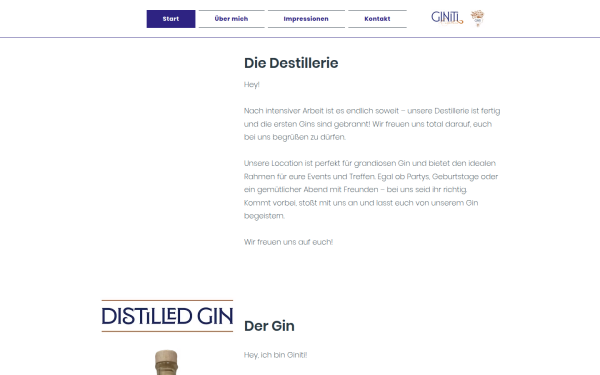 www.giniti.de