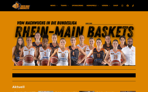 rhein-main-baskets.de