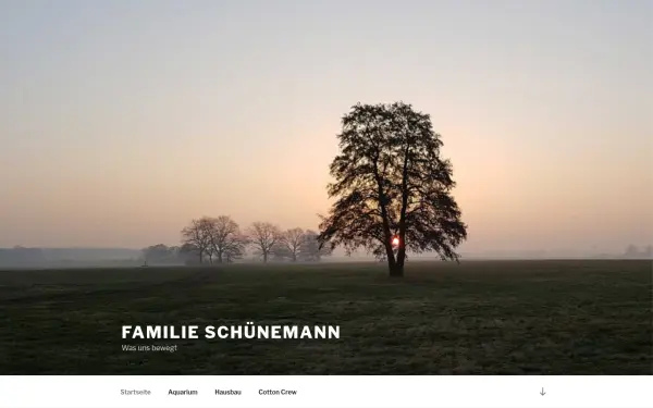 dirkschuenemann.de