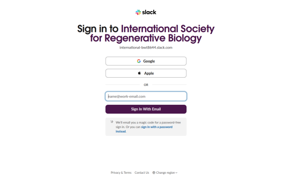 international-bwt8644.slack.com