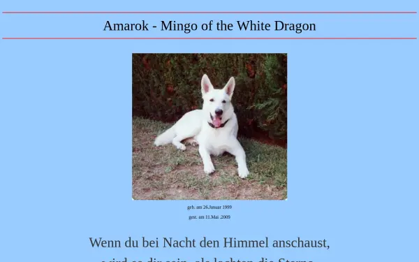 amarok-mingo.de