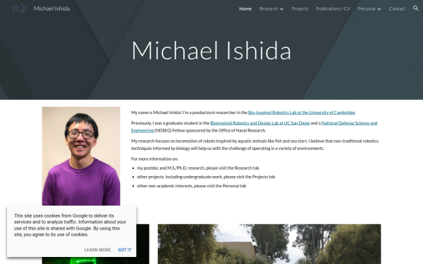 www.michaelishida.com