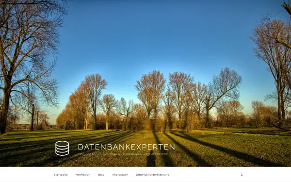 www.datenbankexperten.de