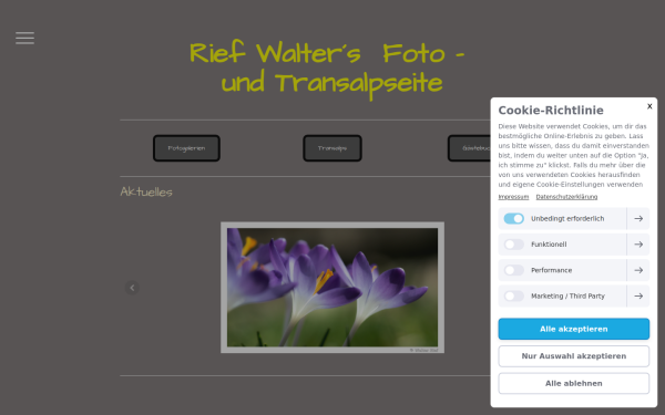 www.walterrief.at